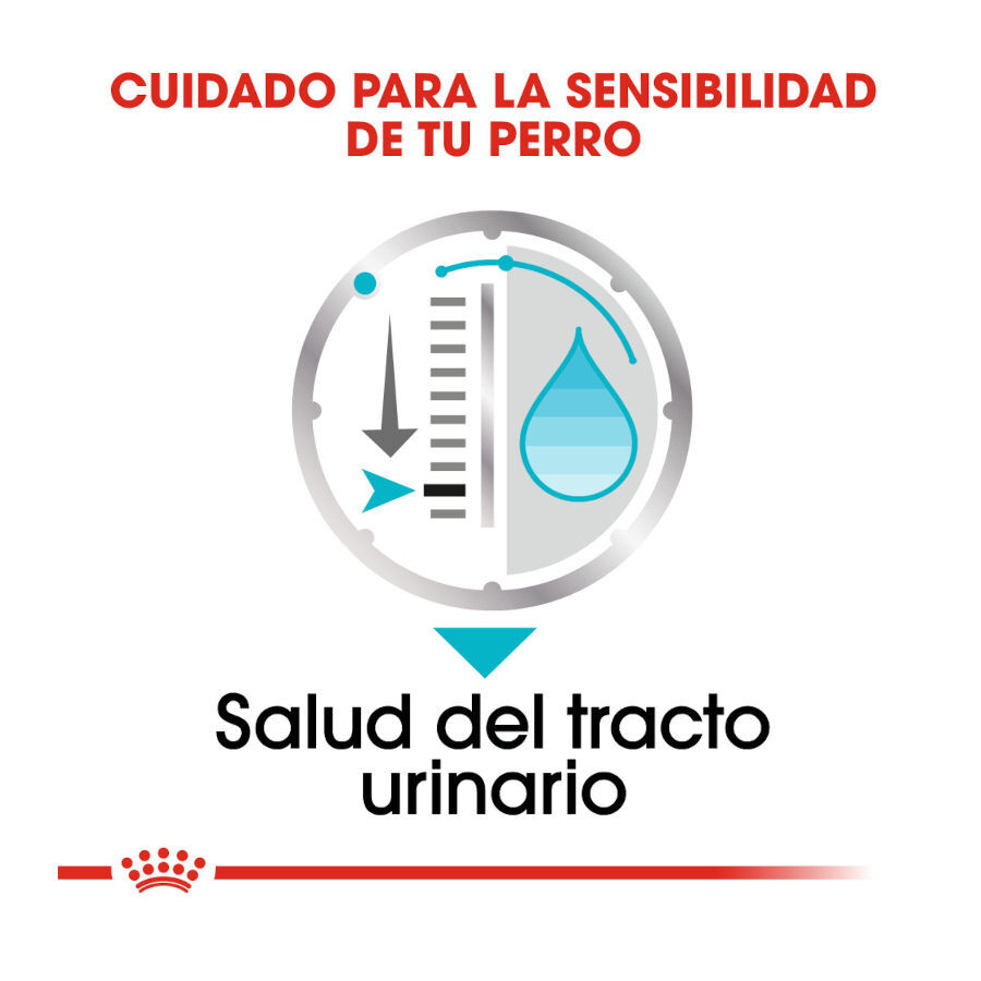 85 g Royal Canin Urinary Care pat&ecirc; saqueta para c&atilde;es, , large Imagem n&uacute;mero 5